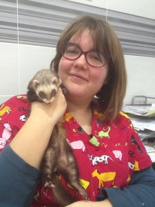 adopcion de animales rincon de la victoria