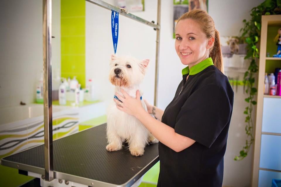 jessica avila pacheco peluqeria perros y gatos en rincon del victoria malaga