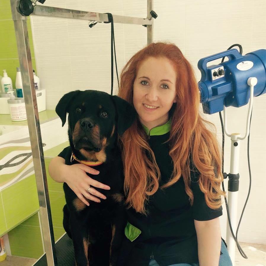 servicios de peluqueria canina en rincon de la victoria malaga