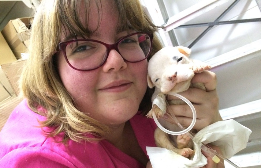 alba hermoso ruddies veterinaria en rincon de la victoria trabaja en animalcare