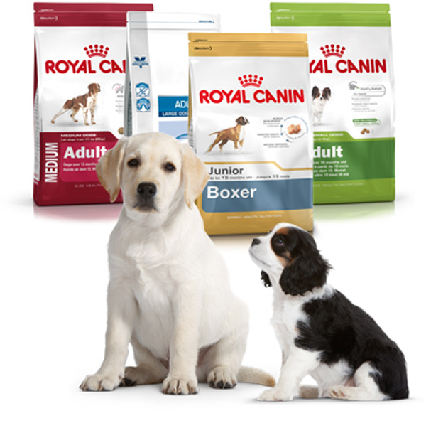 comprar pienso perros gatos en rincon de la victoria malaga