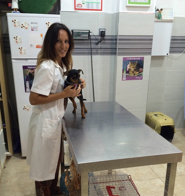 consulta veterinaria perros gatos rincon de la victoria centro veterinario animalcare